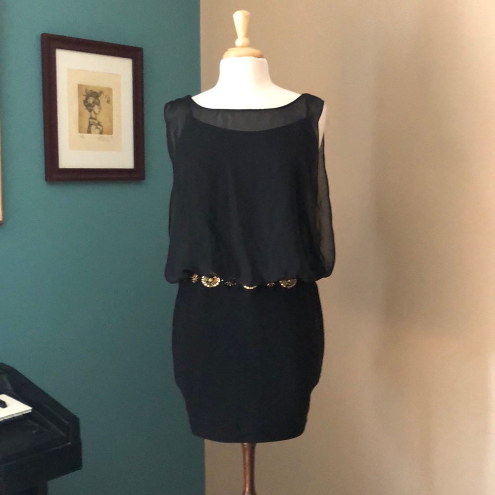 Windsor mini dress size small worn once